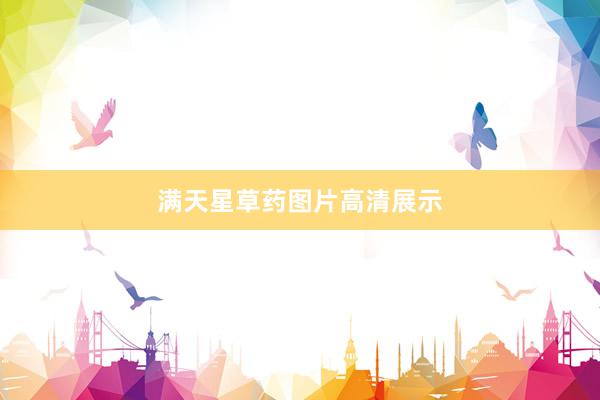 满天星草药图片高清展示